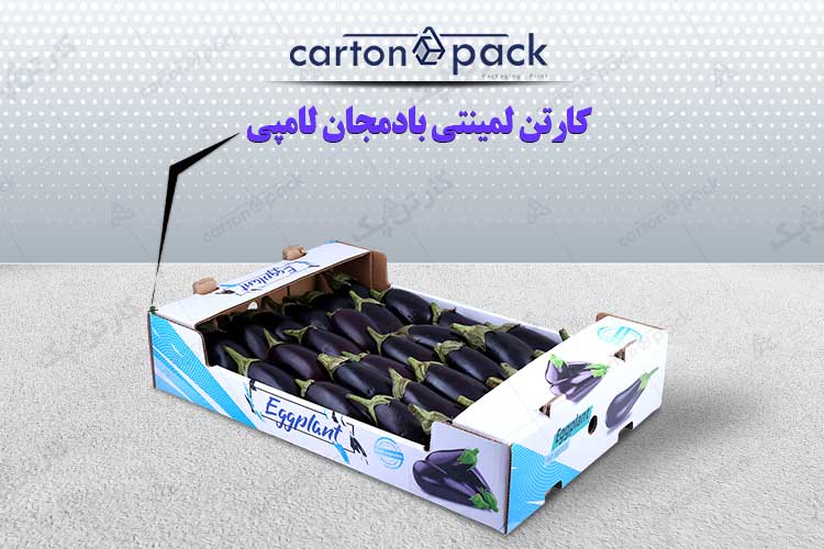 کارتن لمینتی بادمجان لامپی