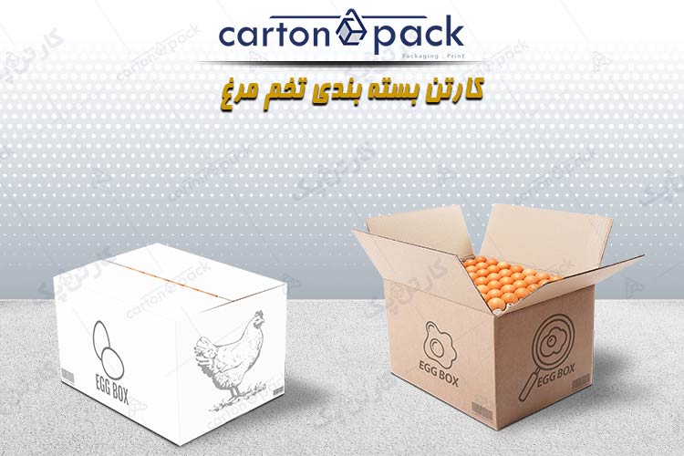 کارتن بسته بندی تخم مرغ