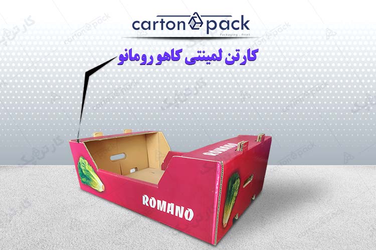 کارتن لمینتی رومانو