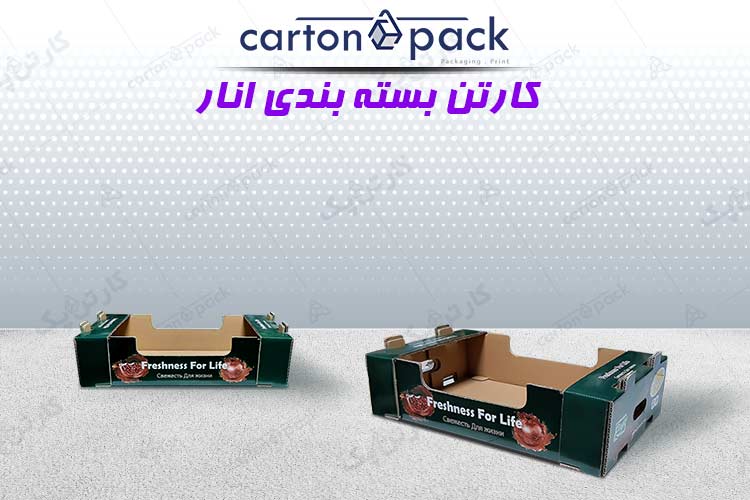 کارتن بسته بندی انار