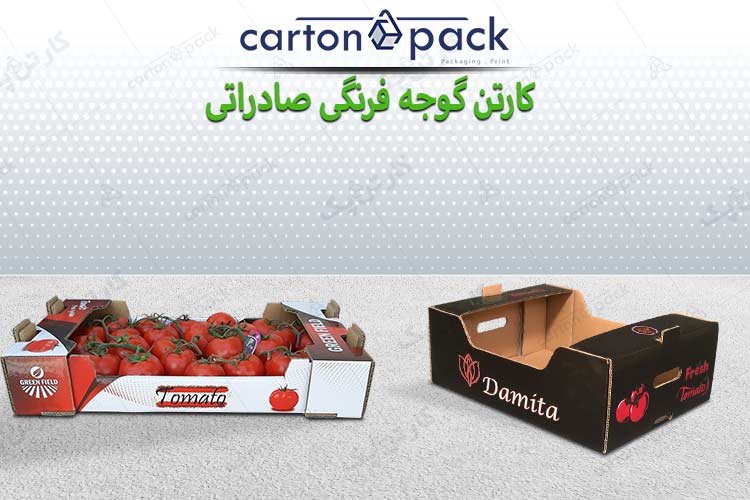 کارتن گوجه صادراتی