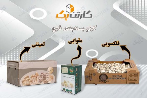 کارتن بسته بندی قارچ