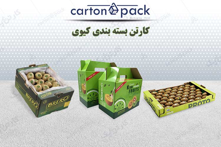 تصویر مرتبط با نقش منقسم و چیدمان داخلی در ایمنی بسته‌بندی
