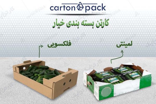 کارتن بسته بندی خیار