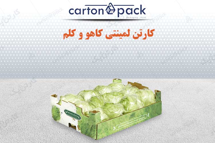 کارتن کاهو 2