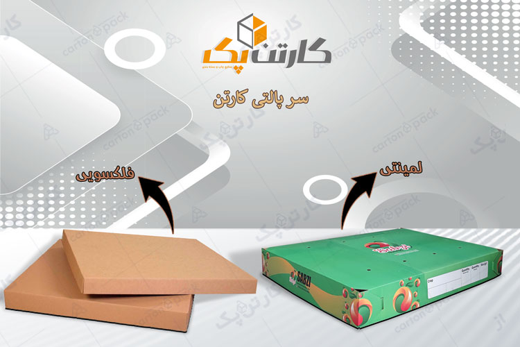 سر پالتی کارتنی ( فلکسویی و لمینتی)