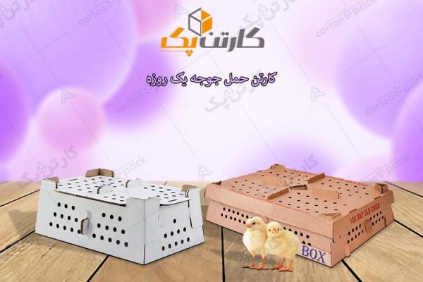 کارتن حمل جوجه یک روزه