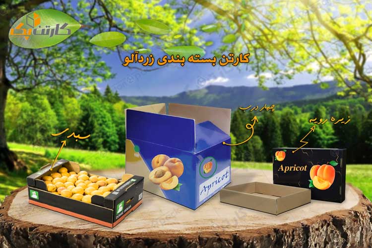 کارتن بسته بندی هندوانه