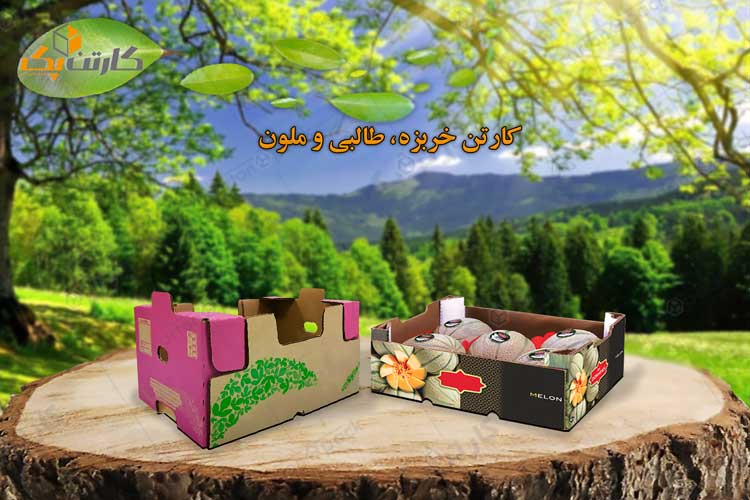 کارتن بسته بندی خربزه، طالبی و ملون