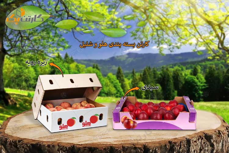 کارتن بسته بندی هلو و شلیل