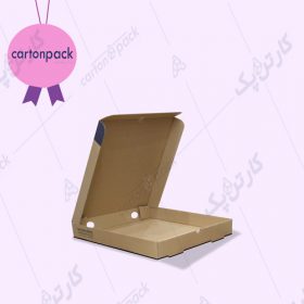 کارتن پیتزا 2