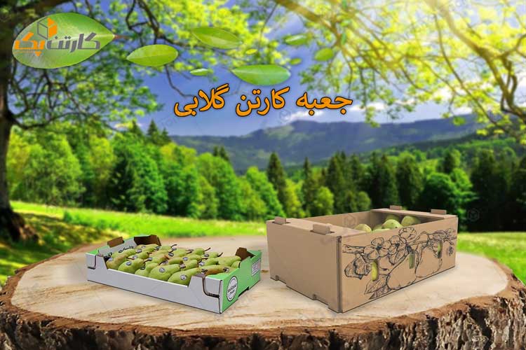 کارتن بسته بندی گلابی