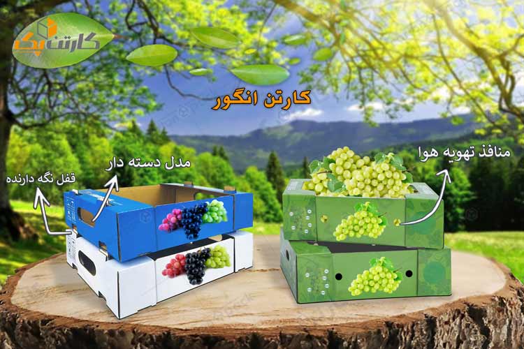 کارتن بسته بندی انگور