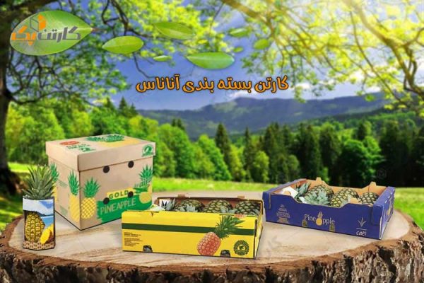کارتن بسته بندی آناناس