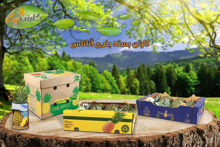 کارتن بسته بندی آناناس