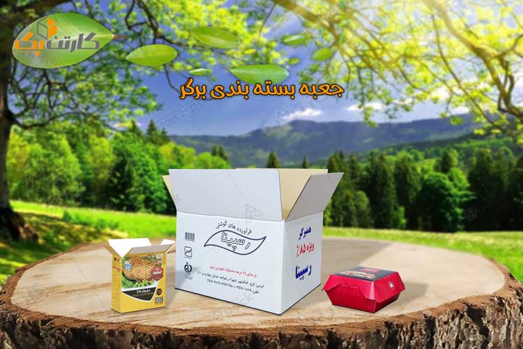 کارتن بسته بندی برگر