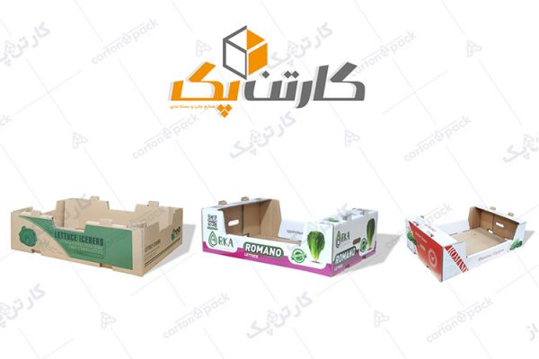 انواع کارتن کاهو